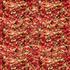 Versele-Laga NutriBird Gold Crumble rot 1 kg Abbildung 2