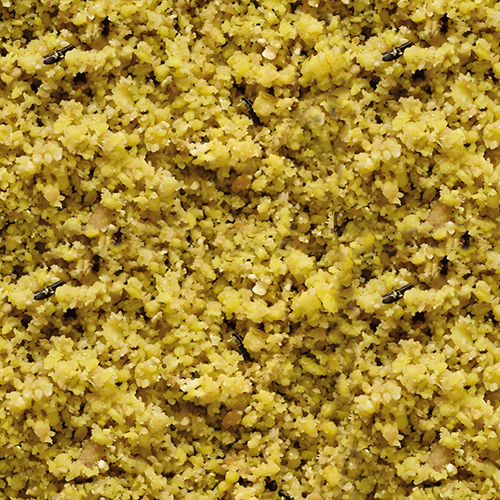 weitere Abbildung Versele-Laga NutriBird Gold patee gelb 5 kg
