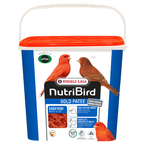 weitere Abbildung Versele-Laga NutriBird Orlux Gold Patee fr rotfaktorige Vgel