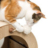 Vesper Minou Abbildung 5