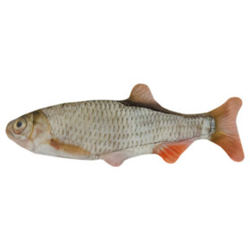 Abbildung Wild Life Katzenspielzeug Roach/Rotauge
