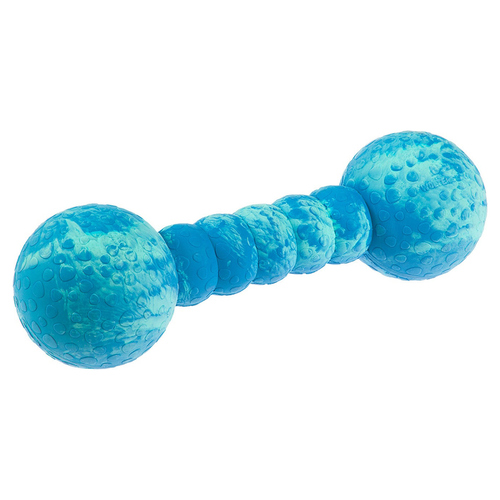 Wolters Aqua-Fun Gym aqua