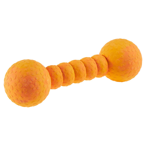 Wolters Aqua-Fun Gym mango