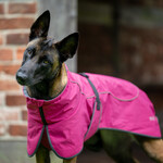 Cape Drizzle magenta, Abbildung 3