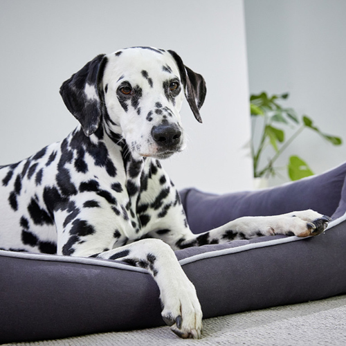 weitere Abbildung Wolters Eco-Well Hunde Lounge grau/hellgrau