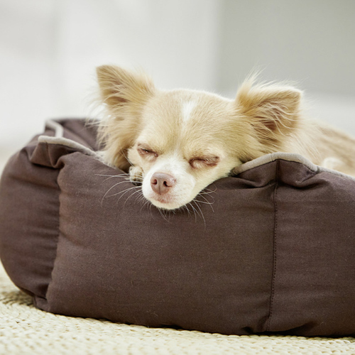 weitere Abbildung Wolters Eco-Well Hunde- & Katzenbett braun/beige