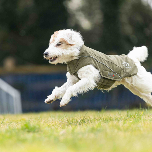 weitere Abbildung Wolters Fleecejacke Dogz-Wear olive meliert