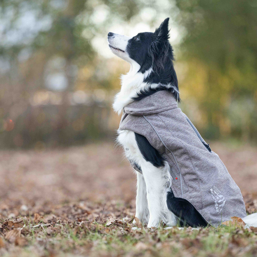 weitere Abbildung Wolters Fleecejacke Dogz-Wear taupe meliert