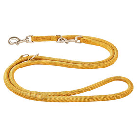 Abbildung Wolters Fhrleine K2 extra-lang curry gelb