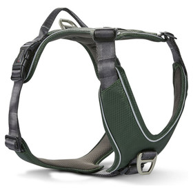 Abbildung Wolters Geschirr Active Pro Comfort grn/anthrazit