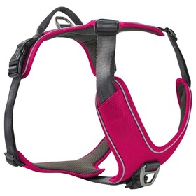 Abbildung Wolters Geschirr Active Pro Comfort magenta/anthrazit