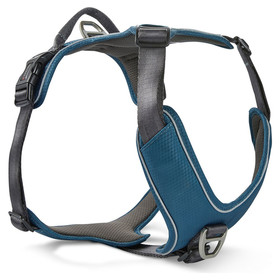 Abbildung Wolters Geschirr Active Pro Comfort petrol/anthrazit