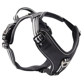 Abbildung Wolters Geschirr Active Pro schwarz/silber