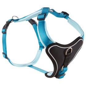 Abbildung Wolters Geschirr Professional Comfort aqua/azur