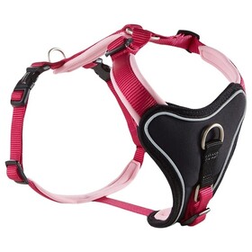 Abbildung Wolters Geschirr Professional Comfort himbeer/ros