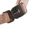 Wolters Geschirr Professional champagner Abbildung 3
