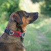 Wolters Halsband Active Pro Comfort rot/anthrazit Abbildung 4