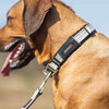 Wolters Halsband Active Pro silber/beige Abbildung 2