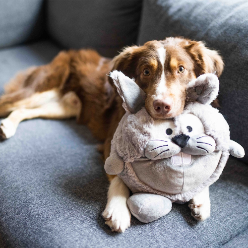 weitere Abbildung Wolters Hundespielzeug Plschball Osterhase