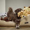 Wolters Plüschhund braun Abbildung 2
