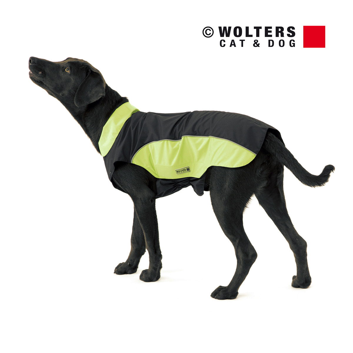 Wolters Regenjacke Easy Rain Für Dackel – Wasserdicht, Atmungsaktiv, Mit Reflektoren, Größe 36 Cm