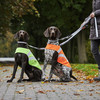 Wolters Sicherheitsweste Security neon orange Abbildung 2