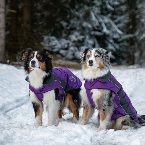 weitere Abbildung Wolters Skijacke Dogz-Wear lila/grau
