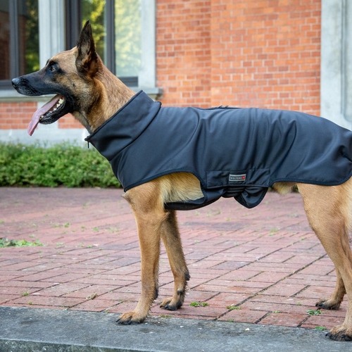 weitere Abbildung Wolters Softshelljacke Casual schwarz