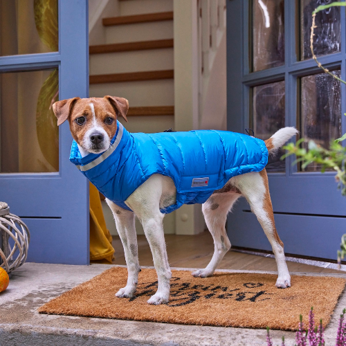 weitere Abbildung Wolters Steppjacke Cosy royalblau