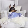 Wolters Strickpullover Sky Abbildung 3