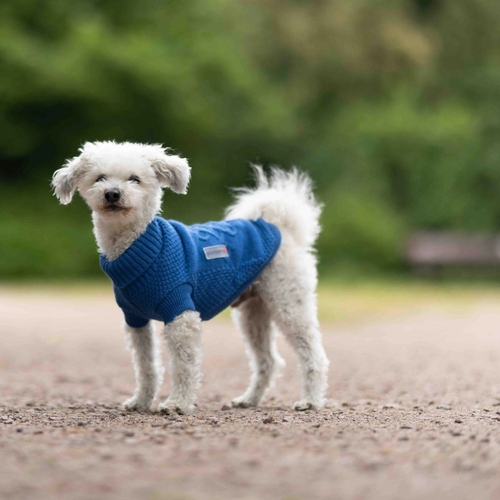 weitere Abbildung Wolters Strickpullover Tristan royalblau