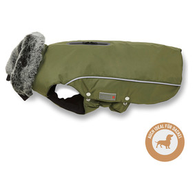 Abbildung Wolters Winterjacke Amundsen fr Dackel olive