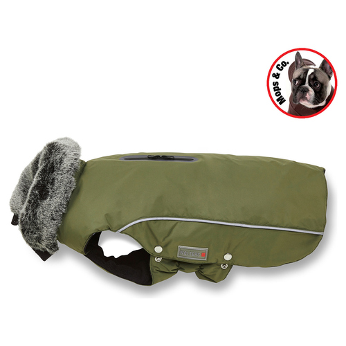Wolters Winterjacke Amundsen für Mops & Co. olive
