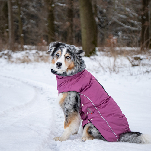 weitere Abbildung Wolters Winterjacke Amundsen himbeer