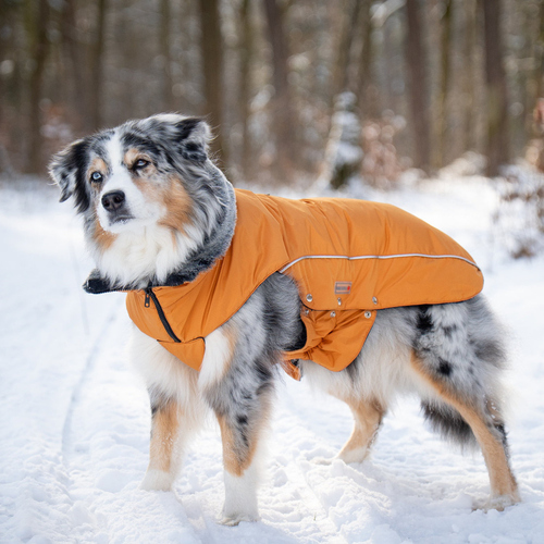 weitere Abbildung Wolters Winterjacke Amundsen orange