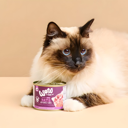 weitere Abbildung Wow Cat Senior Pat Geflgel & Ente 400 g - 6 Stck