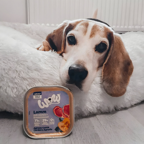 weitere Abbildung Wow Dog Adult Lamm 150 g - 11 Stck