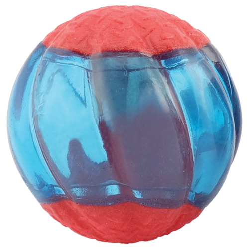 Farbe lila Wasserball 5x Strandball 