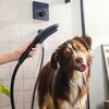hansgrohe DogShower Hundedusche mattschwarz Abbildung 2