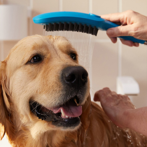 weitere Abbildung hansgrohe DogShower Hundedusche petrol