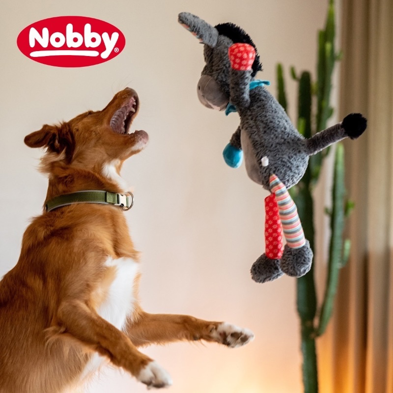 Imagebild Nobby