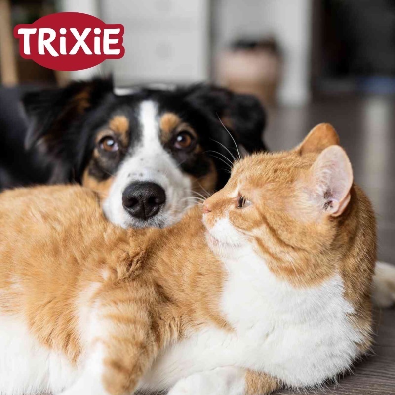 Imagebild Trixie