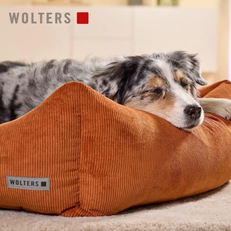 Imagebild Wolters