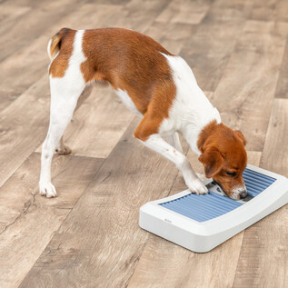 Trixie Gamble Box: Intelligenzspielzeug fr Hunde