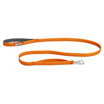 orange leash