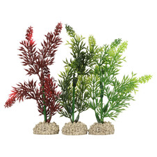 Aquarium Deko-Pflanzen kaufen | Aqua Della | Mein Tierdiscount