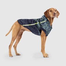 Canada Pooch Premium Hundebekleidung | Mein Tierdiscount