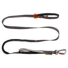 Reflektierende Bungee-Hundeleine – Elastisch, 1,5–2,1 M, Mit Stoßdämpfung, Für Kleine & Mittlere Hunde