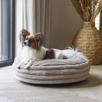 Designed by Lotte Couchkissen Ribbed hellgrau | Hundekissen