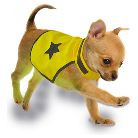 Sicherheitsweste Hund reflektierend Wunschtext Klettverschluss gelb  Warnweste